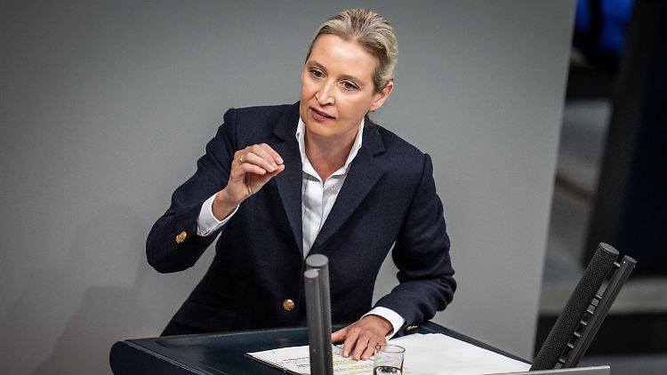 Alice Weidel und Marine Le Pen trafen sich in Frankreich.