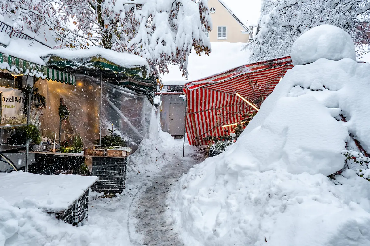 95ef5c4dec9f81aac604eafed9154cc9