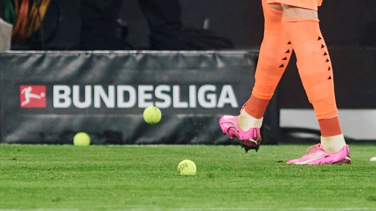 Wochenlang hatten Fans gegen den Investoren-Einstieg in die Deutsche Fußball Liga protestiert.