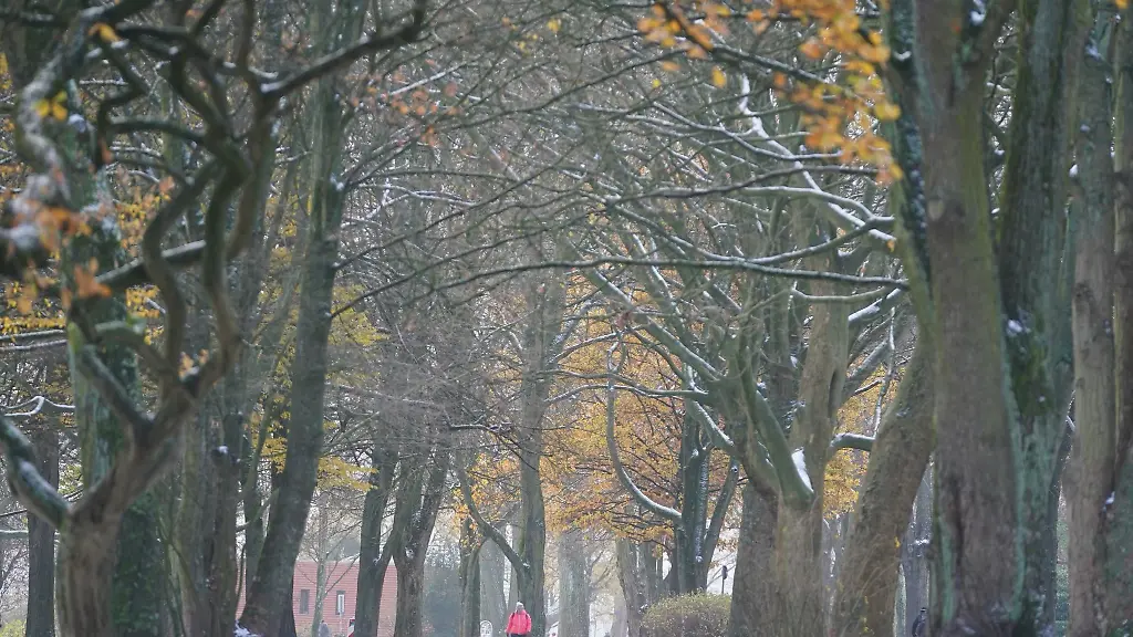 Passanten-gehen-an-den-Alsterwiesen-an-der-Aussenalster-spazieren