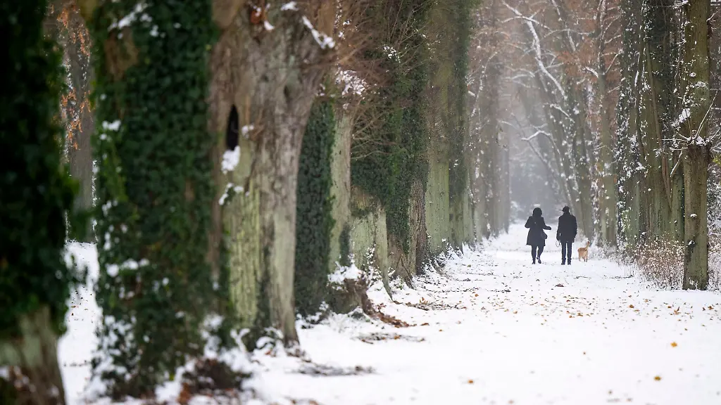 Ein-Paar-mit-einem-Hund-spaziert-bei-winterlichem-Wetter-durch-den-verschneiten-Park-Sanssouci
