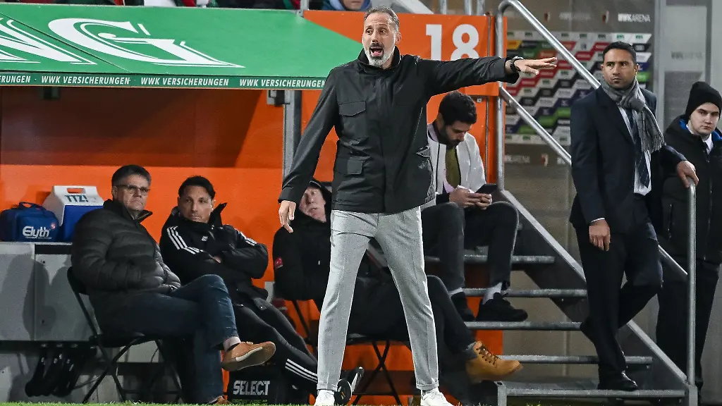 Hoffenheims-Trainer-Pellegrino-Matarazzo-gestikuliert