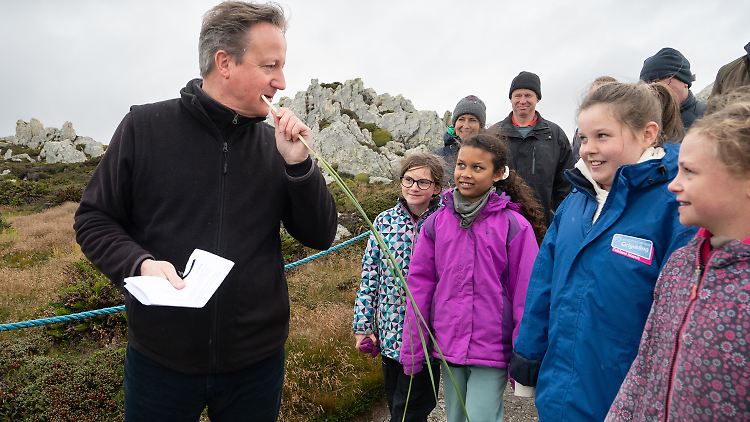 Cameron zögert nicht beim Genuss von "essbarem Gras" bei seinem Falkland-Besuch.