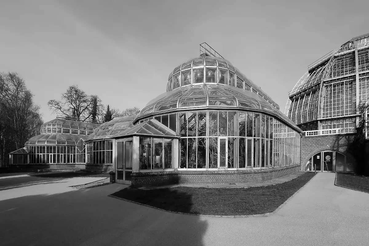 c-Jean-Molitor-Berlin-Lichterfelde-Botanischer-Garten-Tropenhaus-1906-10-Alfred-Koerner