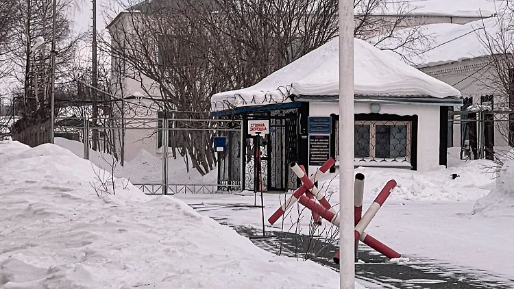 In einem sibirischen Straflager starb nach Angaben der Justiz Kremlgegner Alexej Nawalny Mitte Februar im Alter von 47 Jahren. 