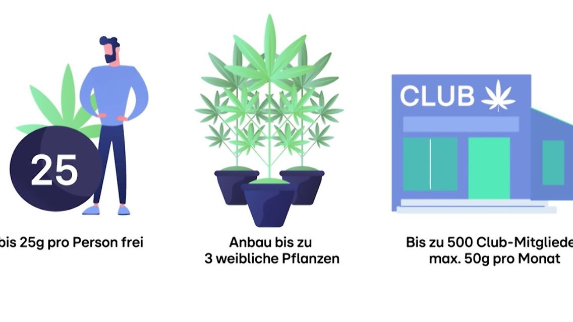 Cannabislegal.JPG
