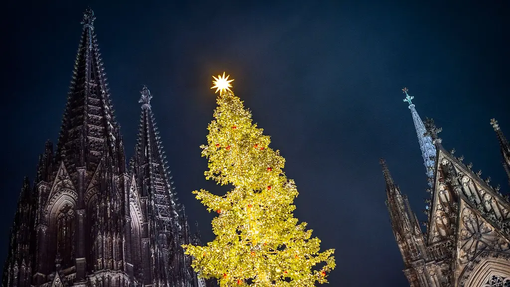 Ein-Weihnachtsbaum-erstrahlt-auf-dem-Weihnachtsmarkt-am-Koelner-Dom