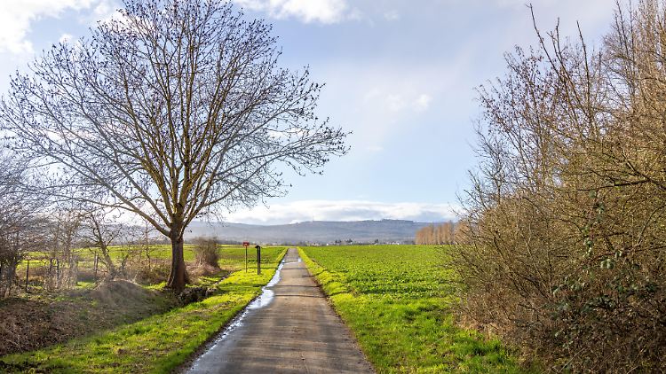 Vermehrt klettern die Temperaturen in der neuen Woche in den zweistelligen Bereich.