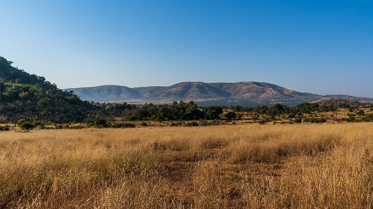 Die Leiche des Deutschen wurde im Pilanesberg-Nationalpark in einem Gebüsch gefunden.