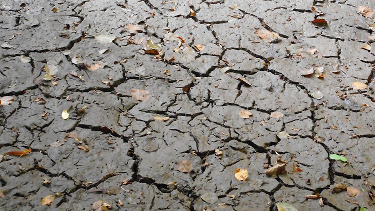 Ein See nahe Freiburg führte aufgrund der Trockenheit 2023 zeitweise kein Wasser.