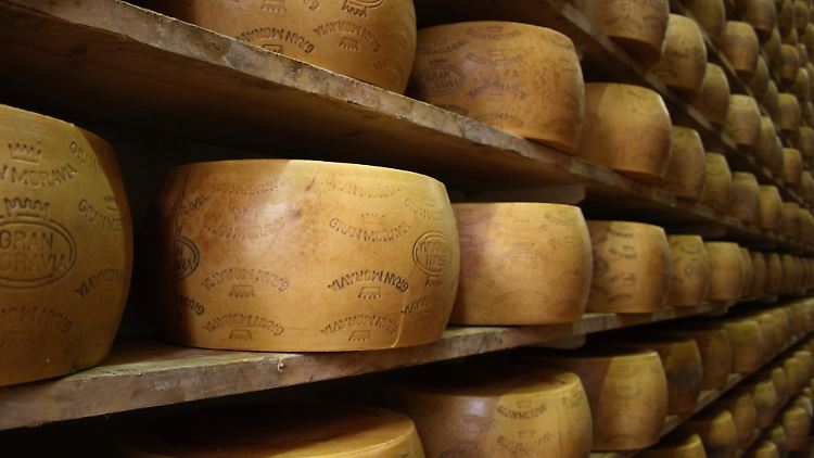 Mehrere Laibe des Hartkäses Gran Moravia liegen in einem Lager der Brazzale AG.