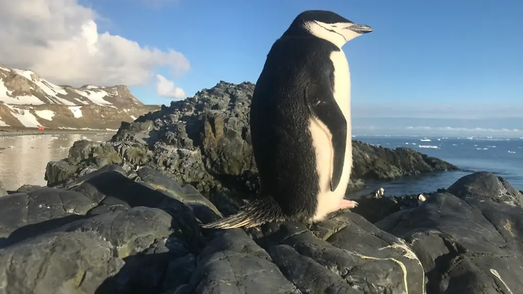 Darf-nur-im-Zusammenhang-mit-der-Studie-genutzt-werden