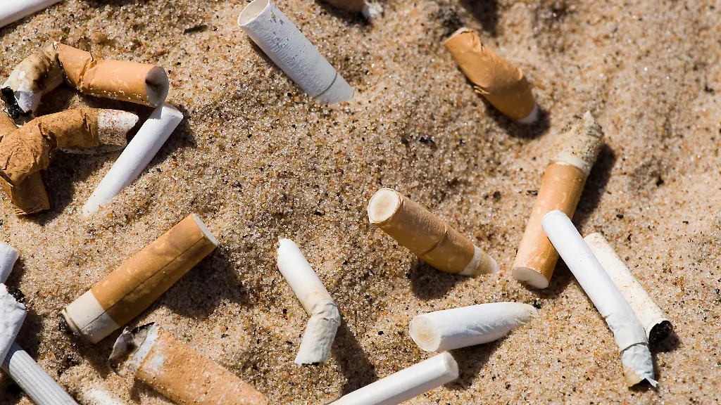 556d51a04475147471ec0d679534fba5