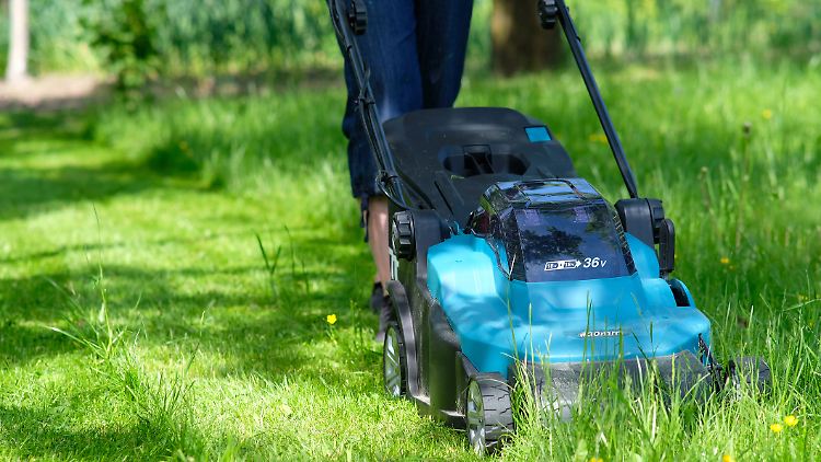 In den kommenden Monaten steht wieder vermehrt die Rasenpflege auf dem Programm. Viele Gartenbesitzer setzen dabei auf Akku-Rasenmäher.