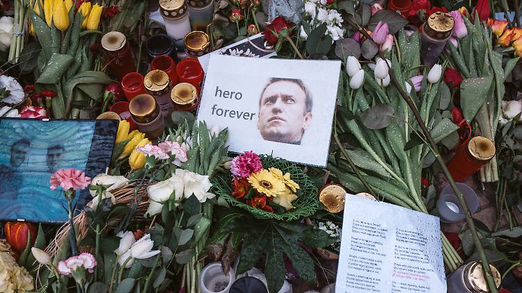 Soll eine natürlichen Todes gestorben sein: Alexej Nawalny.