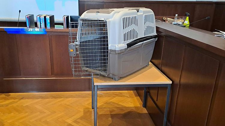 Beweismittel vor Gericht: Die Hundebox, in der die Mutter ihren Sohn gefangen hielt.