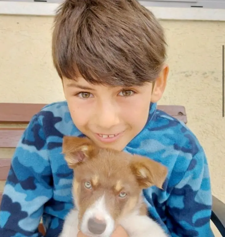 bbf7665137bc8ee0d51fb367b4705d7c