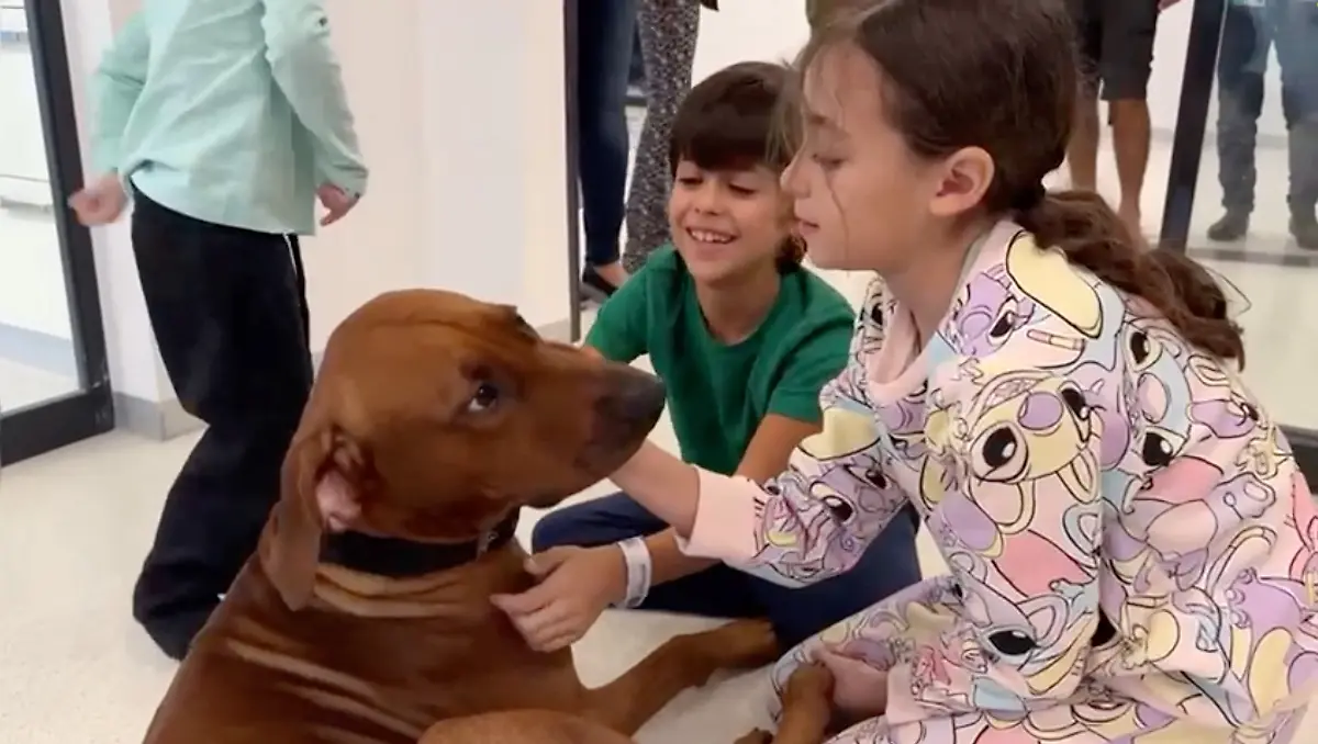 4f6c2f46dbe49c0c0b530df1aed8a23c