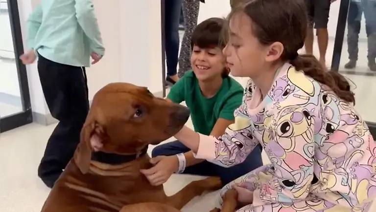 4f6c2f46dbe49c0c0b530df1aed8a23c