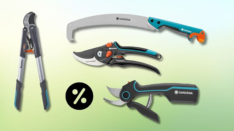 Amazon verkauft momentan viele Scheren und Sägen von Gardena mit Rabatt. Wir haben die Deals geprüft.