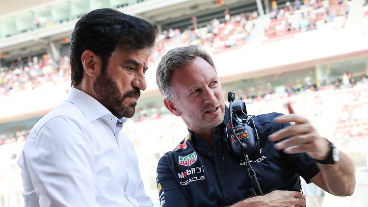 Ben Sulayem und Horner haben in Dubai gesprochen.