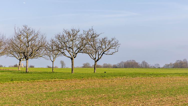 Nach frühlingshaften Tagen droht auch wieder Frost - doch die Sonne verschwindet nicht ganz. 