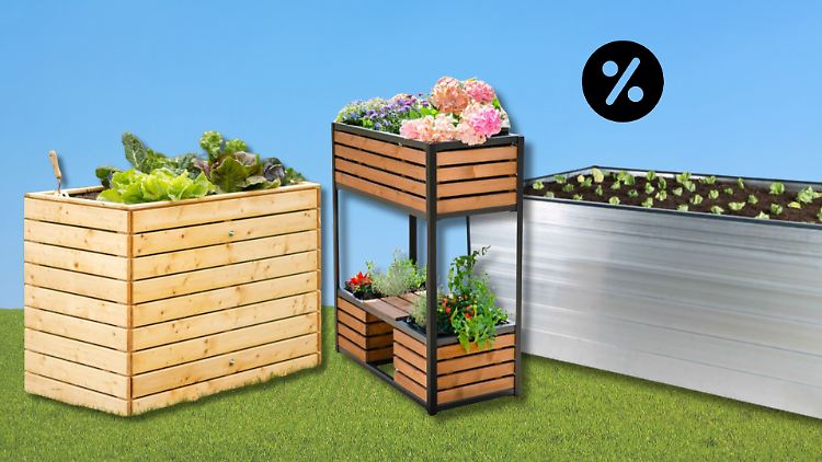 Ein Hochbeet ist praktisch, wenn nicht viel Platz vorhanden ist. Aldi bietet viele Modelle zu reduzierten Preisen an.