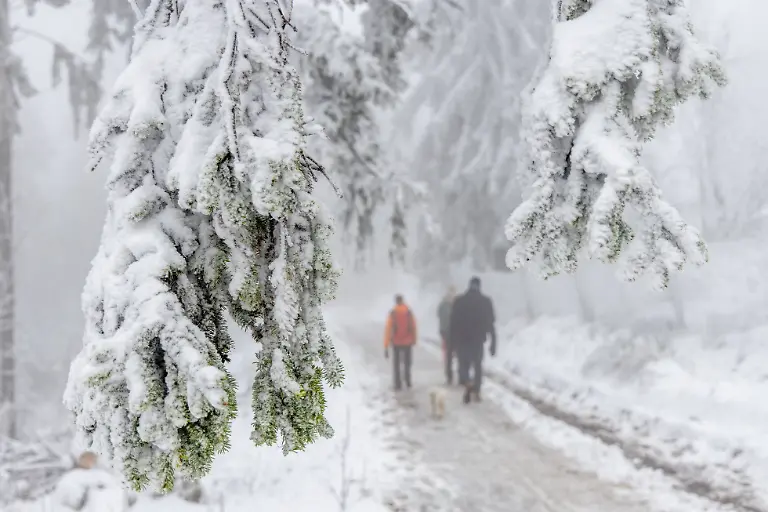 a780591c597a9d62a0f2a083a9712bdb