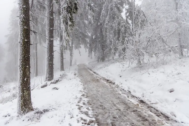 445a6fd5589299921d7e61e5121132b3