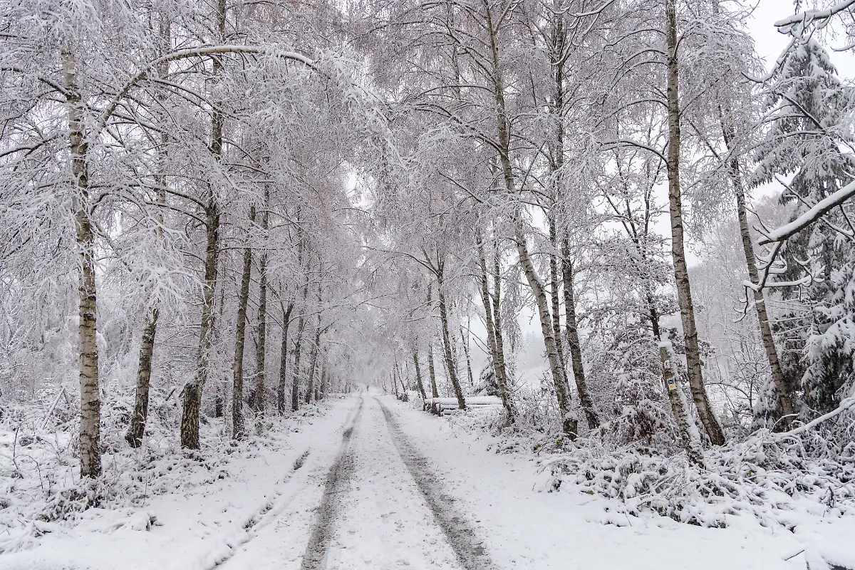 518f42132c716d46b23273f9a65d0f43