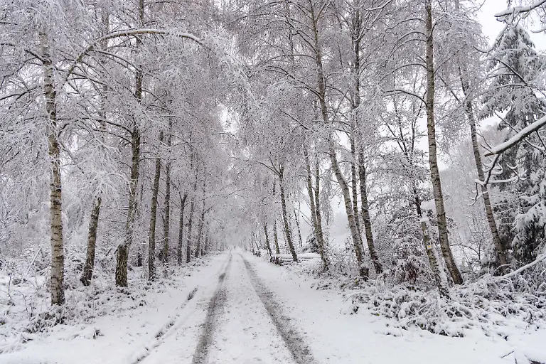 518f42132c716d46b23273f9a65d0f43