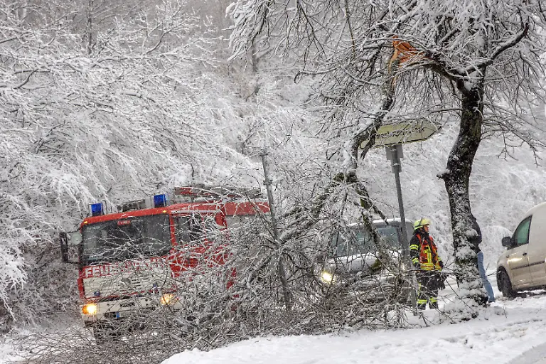 751004aa1c801e885c10d87f584469ed