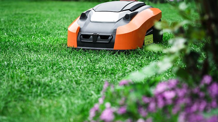 Regelmäßiges Rasenmähen ist wichtig, aber auch zeitintensiv. Ein Mähroboter nimmt diese Aufgabe ab.