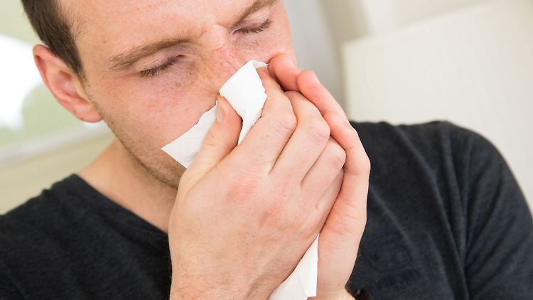 Start in die Pollensaison: Wenn die Krankheitssymptome einer Allergie zu stark werden, dürfen sich Arbeitnehmer krankmelden.
