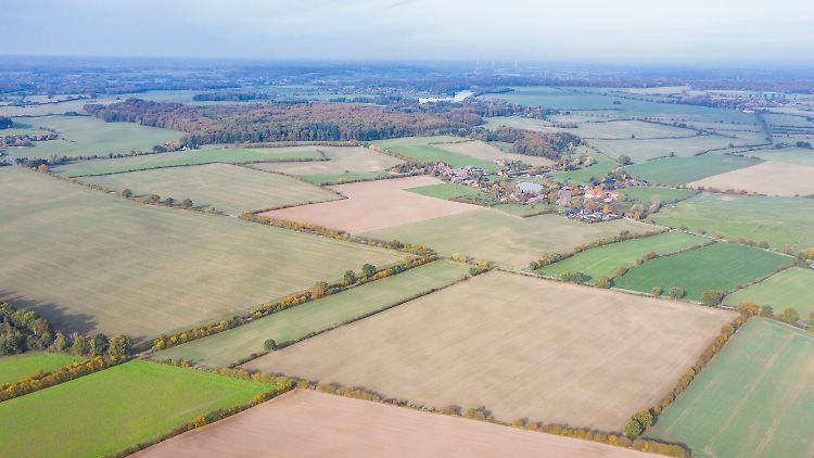 720 Meter Hecke kompensieren die Treibhausgasemissionen, die ein Mensch innerhalb von zehn Jahren ausstößt.