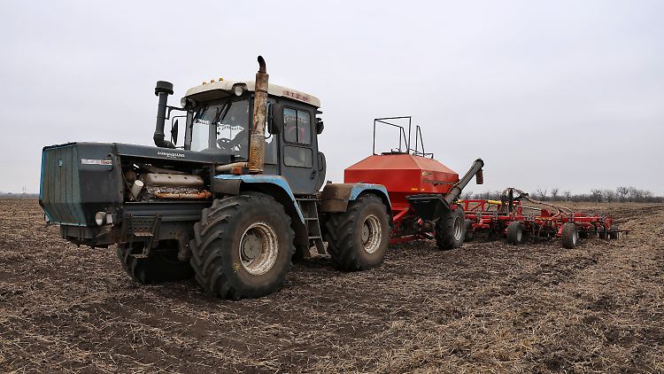 Trotz des russischen Überfalls produziert die Ukraine noch Getreide.