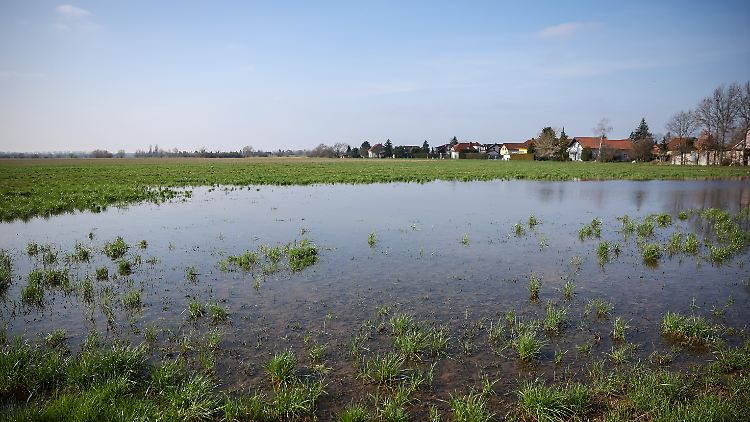 Im Februar war es vielerorts zu warm. Die Erwärmung des Klimasystems führe unweigerlich zu neuen Temperaturextremen, sagen die Forscher. 