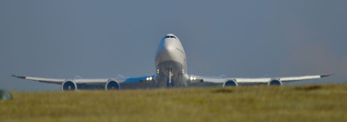 450071377.jpg