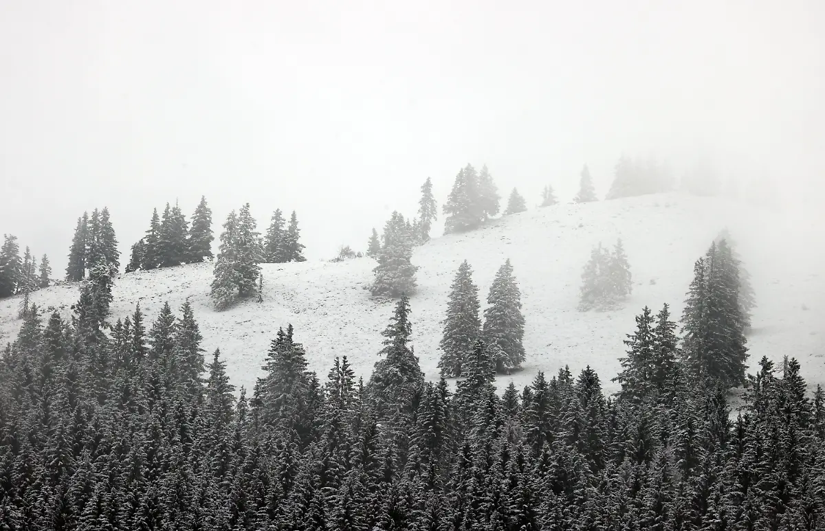 fb7fb56aa2dfad2a4c5f44e86c98a961