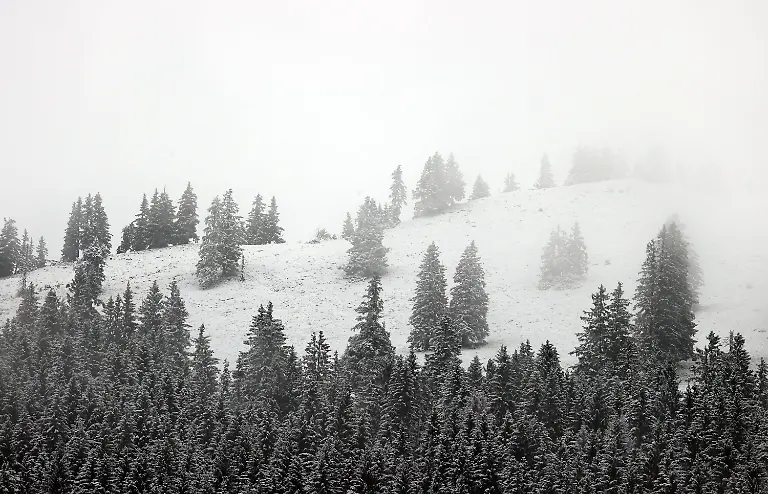 fb7fb56aa2dfad2a4c5f44e86c98a961