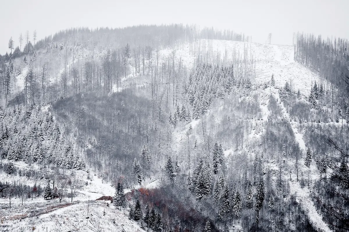 efee8a083e169b3f88736c789f25682d