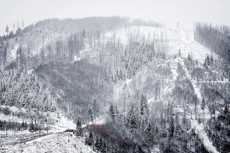 efee8a083e169b3f88736c789f25682d