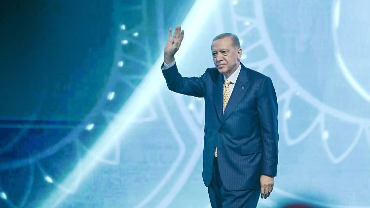 Erdogan regiert die Türkei seit 20 Jahren, erst als Ministerpräsident und seit 2014 als Präsident.