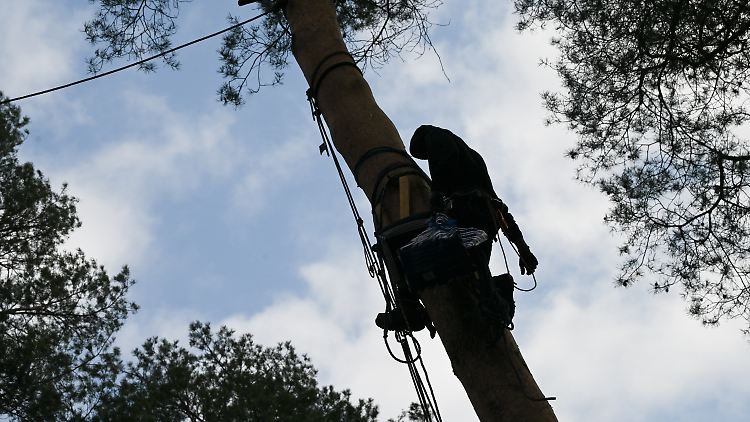 Der Brandanschlag auf den Strommast in Ostbrandenburg löste einen großen Stromausfall aus.