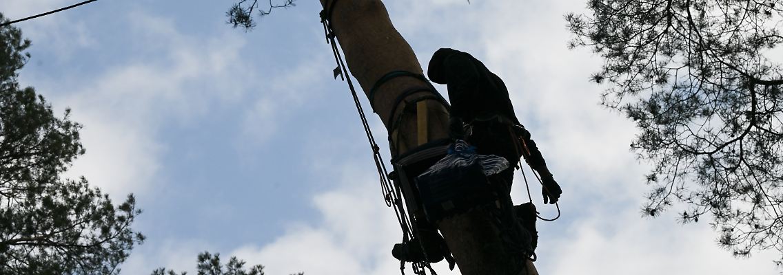 451009828.jpg