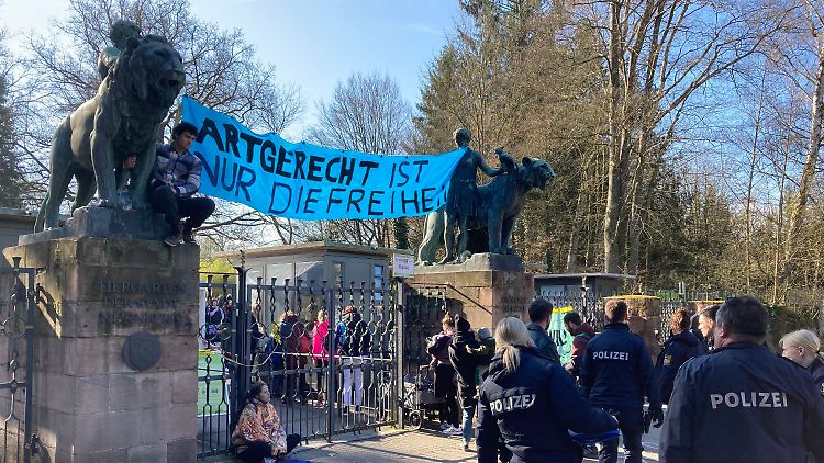 "Du bist nicht allein", schrien die Aktivisten durch ein Megafon.