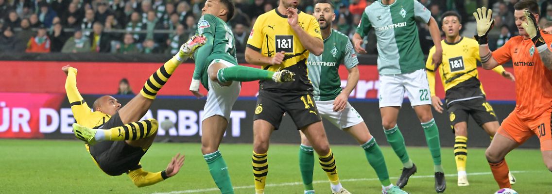 451722571.jpg