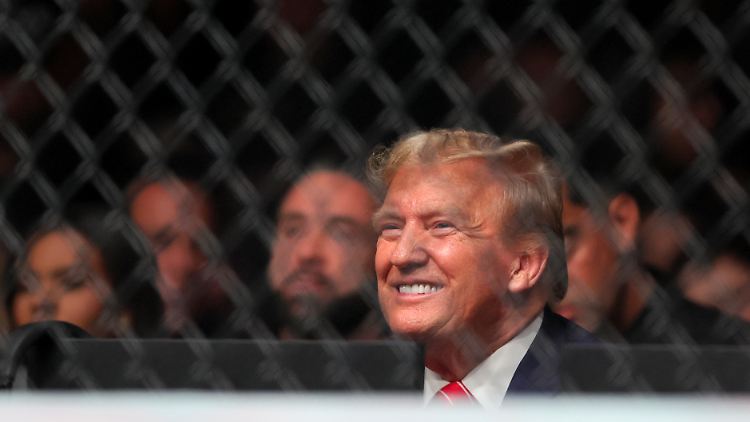 In der UFC immer in der ersten Reihe: Donald Trump.