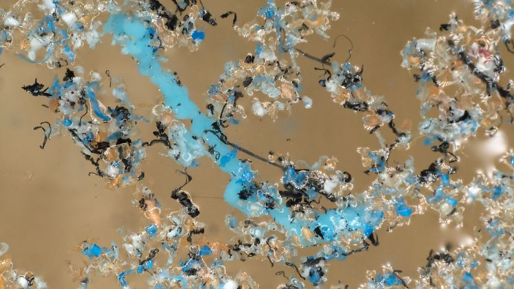 Plastik ist allgegenwärtig - der Kunststoff wird zum Beispiel im Wasser durch Wellen und Sonne immer weiter zerkleinert.