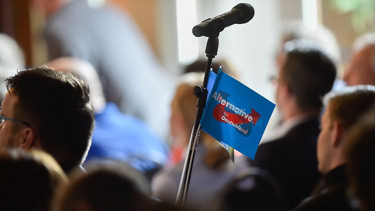 "Ein Verbot würde die Opfererzählung der AfD stärken", sagt Axel Salheiser. Er hält ein Verbotsverfahren dennoch für notwendig.